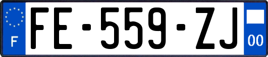 FE-559-ZJ