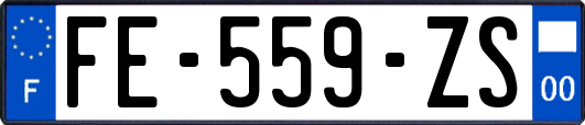 FE-559-ZS