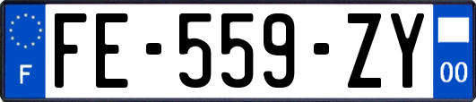 FE-559-ZY