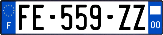 FE-559-ZZ