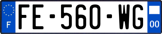 FE-560-WG