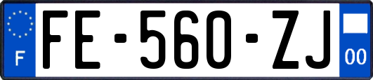 FE-560-ZJ