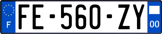 FE-560-ZY