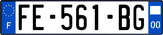 FE-561-BG