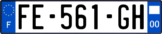 FE-561-GH