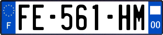 FE-561-HM