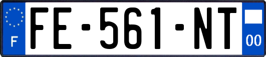 FE-561-NT