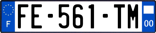 FE-561-TM
