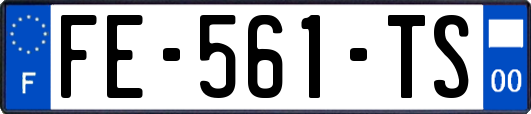 FE-561-TS