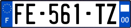 FE-561-TZ