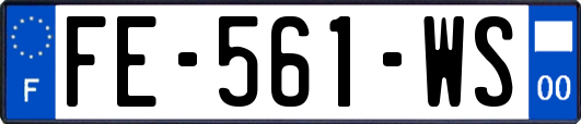 FE-561-WS