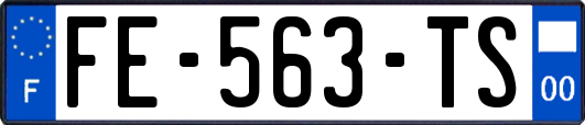 FE-563-TS