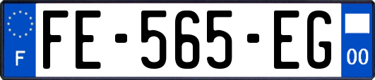 FE-565-EG