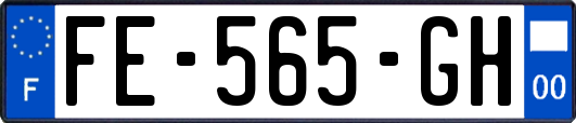 FE-565-GH