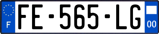 FE-565-LG