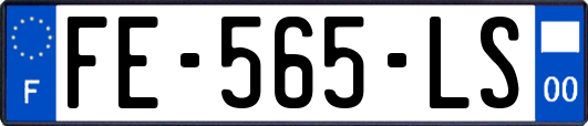 FE-565-LS