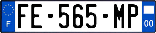 FE-565-MP