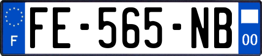 FE-565-NB