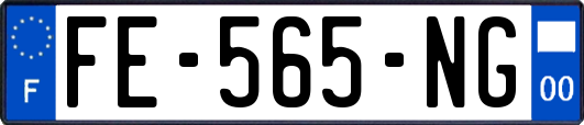 FE-565-NG