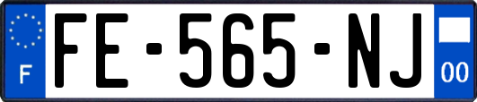 FE-565-NJ