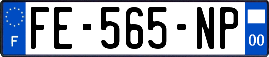 FE-565-NP