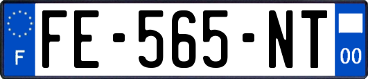 FE-565-NT