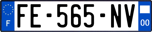 FE-565-NV