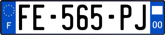 FE-565-PJ