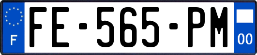 FE-565-PM