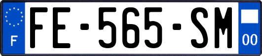 FE-565-SM