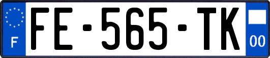 FE-565-TK