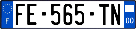 FE-565-TN