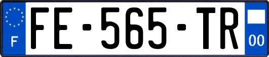 FE-565-TR