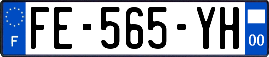 FE-565-YH