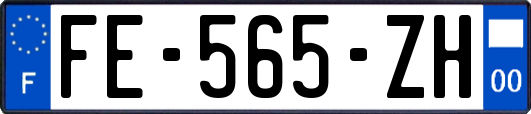 FE-565-ZH