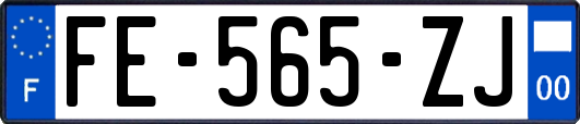 FE-565-ZJ