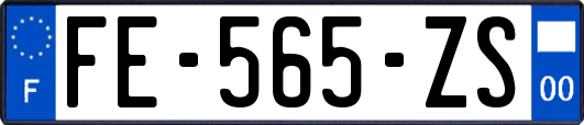 FE-565-ZS