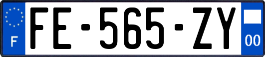 FE-565-ZY