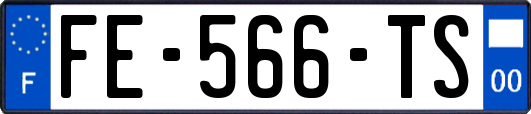 FE-566-TS