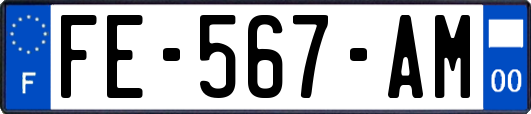 FE-567-AM