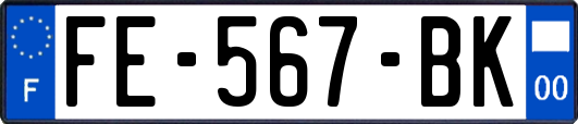 FE-567-BK