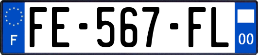 FE-567-FL