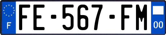 FE-567-FM