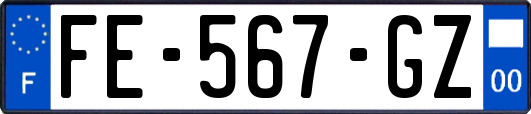FE-567-GZ
