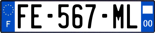 FE-567-ML