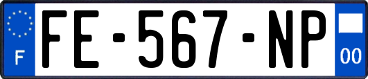 FE-567-NP