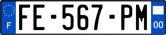 FE-567-PM