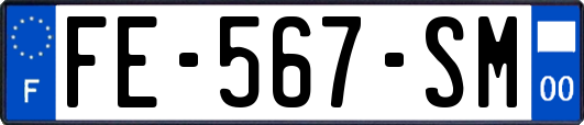 FE-567-SM
