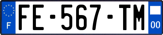 FE-567-TM