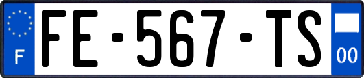 FE-567-TS